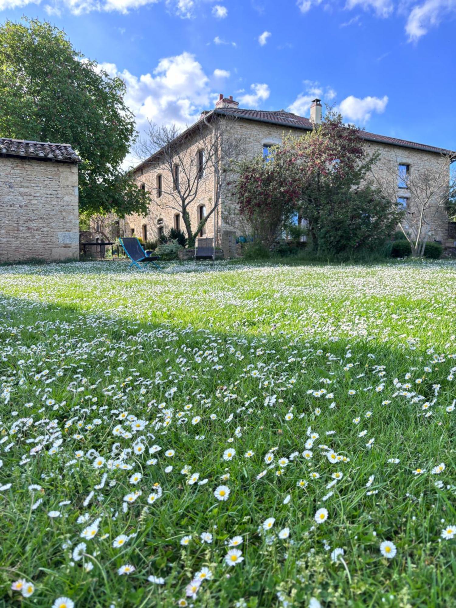Domaine Du Vernay Mazille Екстер'єр фото