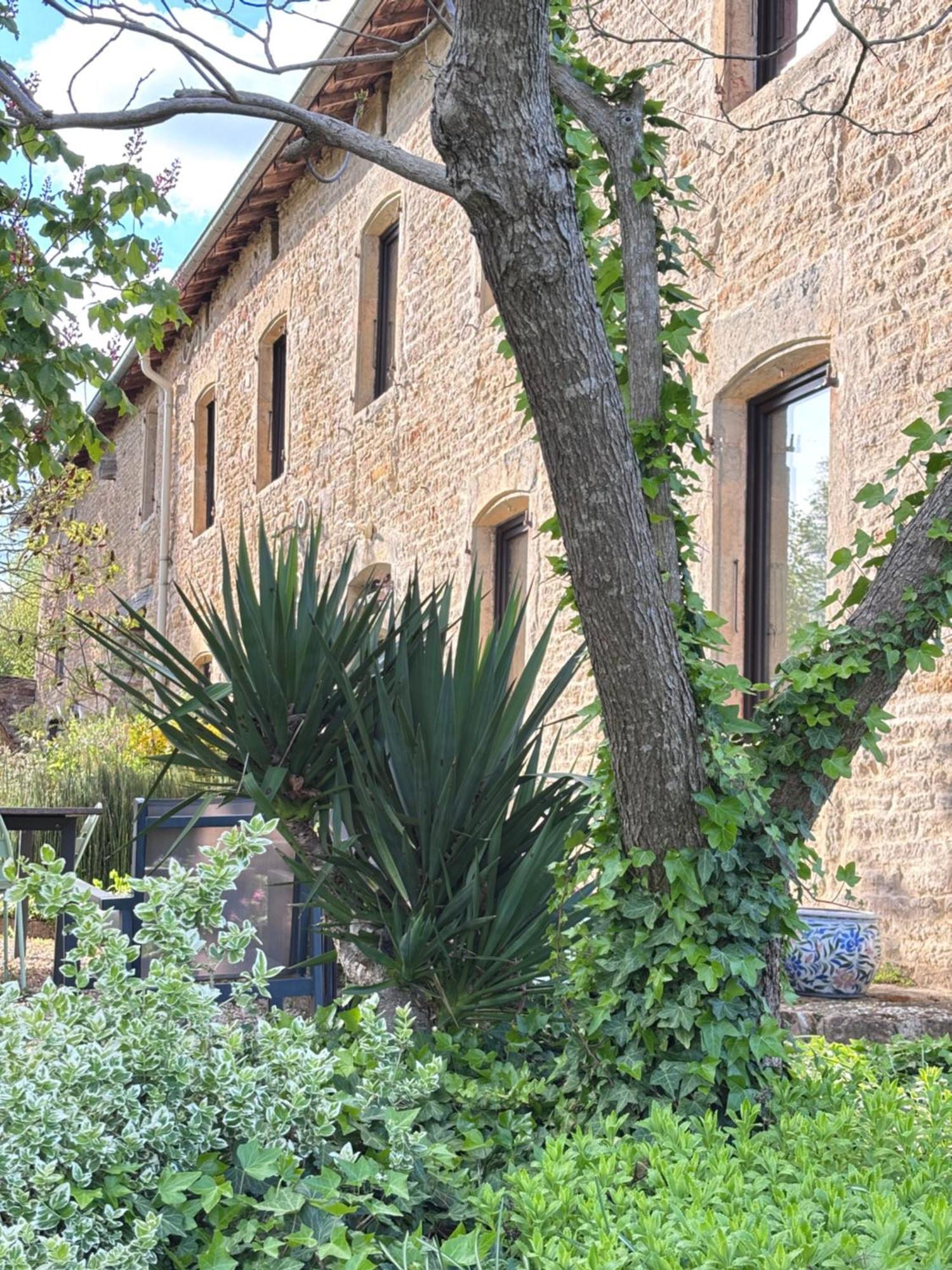 Domaine Du Vernay Mazille Екстер'єр фото